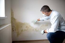 Best Attic Mold Removal  in Franklin, PA